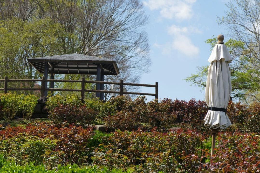 Spring Garden Refresh Ideas for a Healthier Outdoor Space