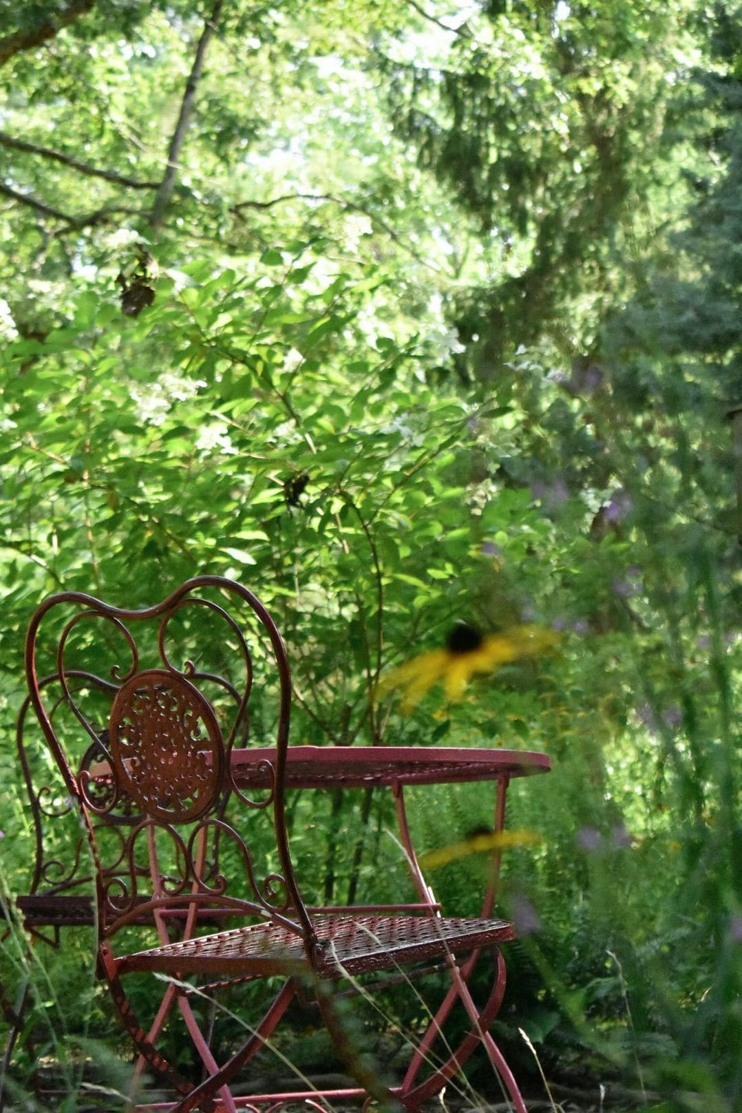 How Mulching Supports Moisture, Weed Control, and Clean Edges