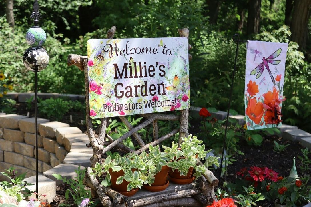 Planning a Low-Maintenance Landscape That Still Looks Great
