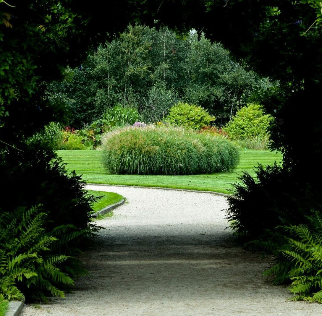 Plan the garden work