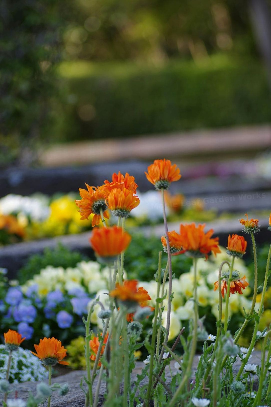 Lawn and garden maintenance