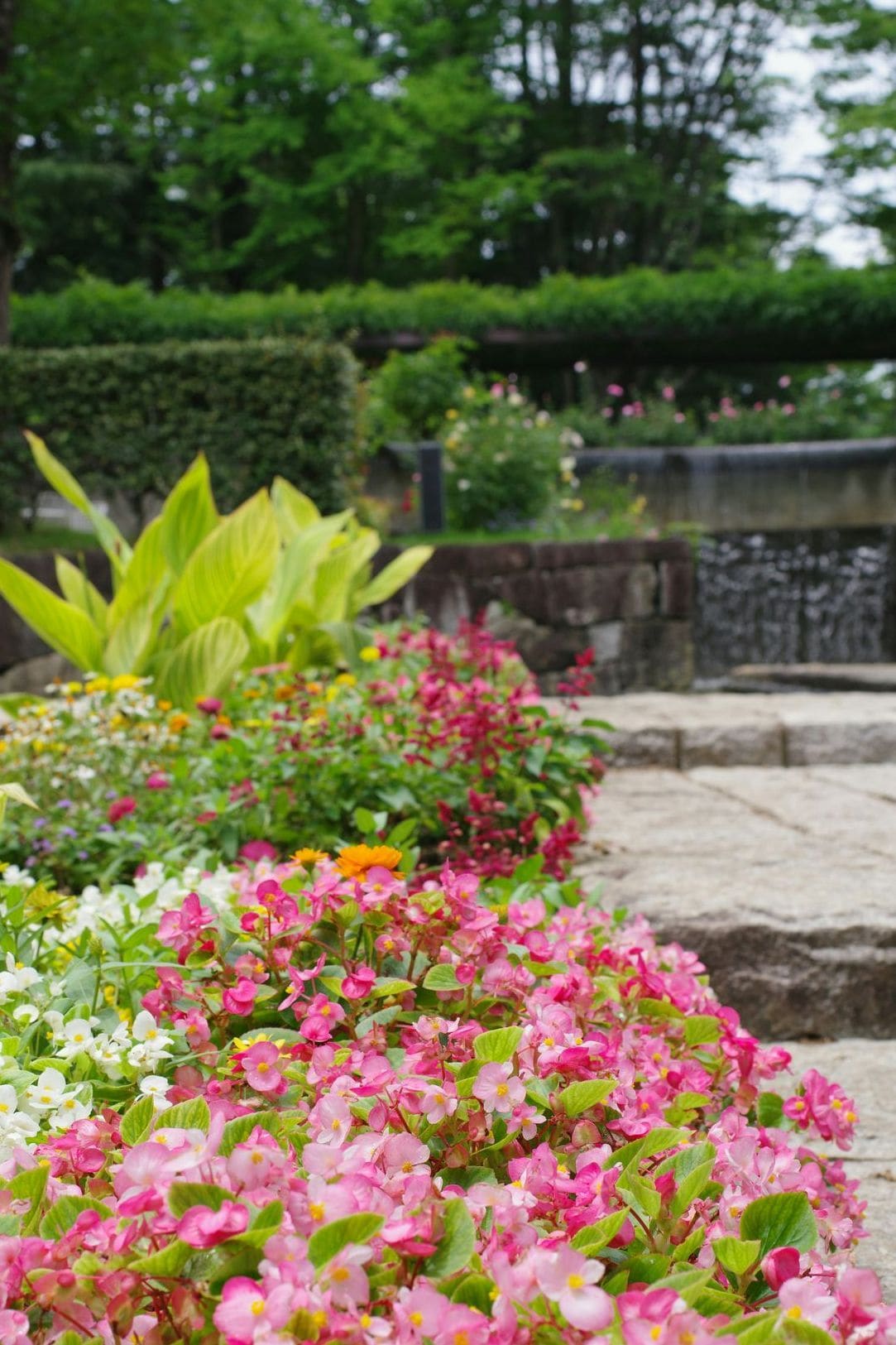 Mulching and soil improvement